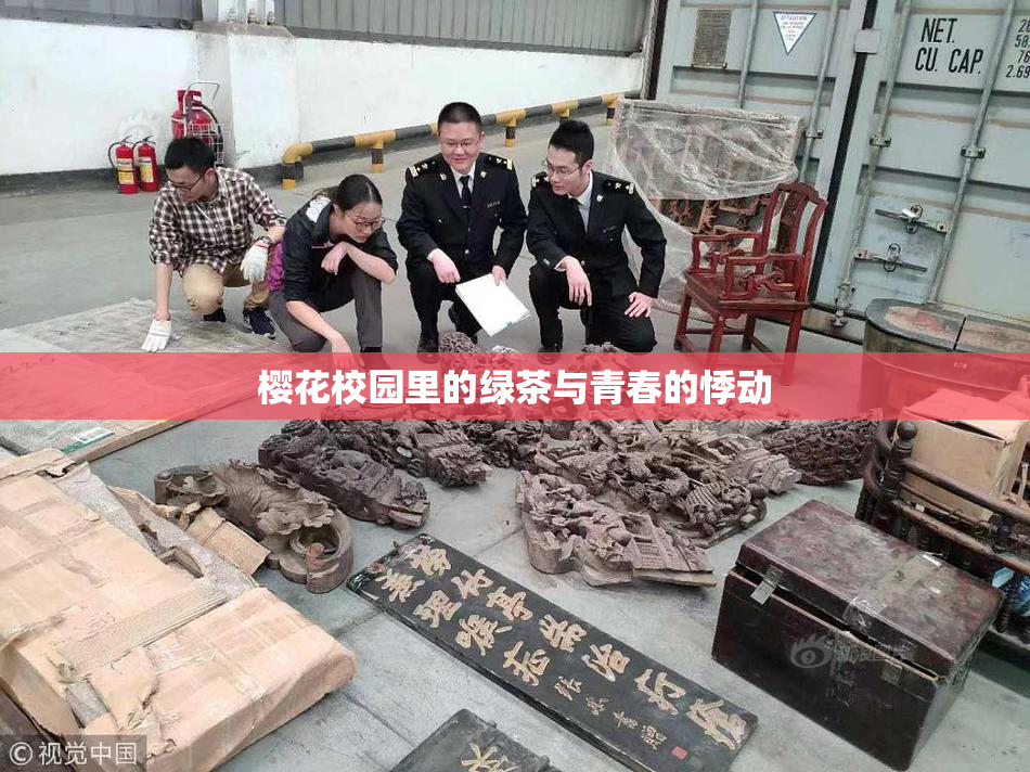 樱花校园里的绿茶与青春的悸动