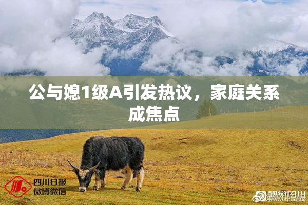 公与媳1级A引发热议，家庭关系成焦点