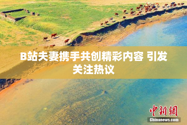 B站夫妻携手共创精彩内容 引发关注热议