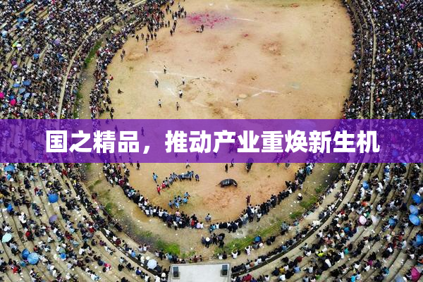 国之精品，推动产业重焕新生机
