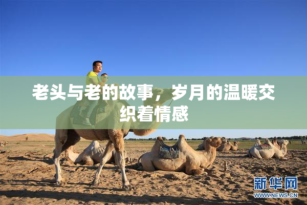 老头与老的故事，岁月的温暖交织着情感