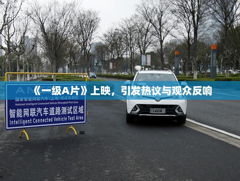 《一级A片》上映，引发热议与观众反响