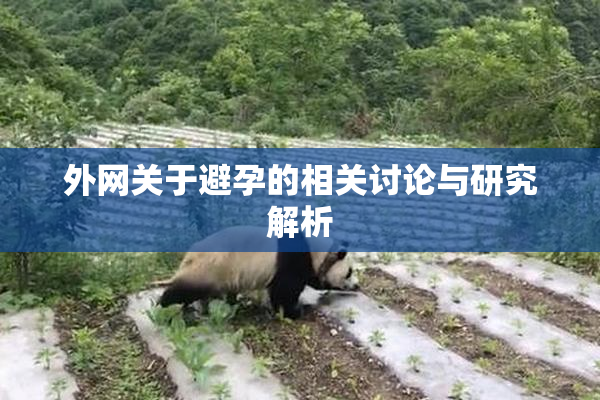 外网关于避孕的相关讨论与研究解析