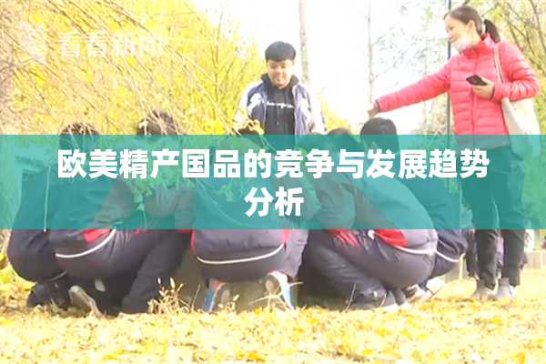 欧美精产国品的竞争与发展趋势分析