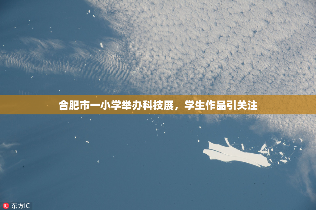 合肥市一小学举办科技展，学生作品引关注