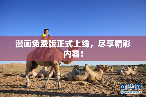 漫画免费版正式上线，尽享精彩内容！