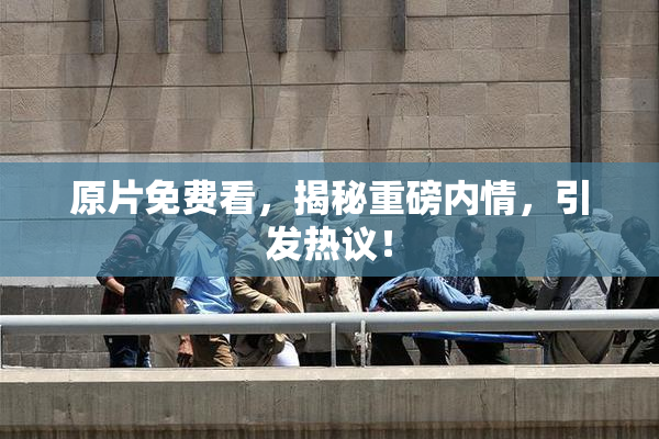 原片免费看，揭秘重磅内情，引发热议！