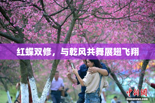 红蝶双修，与乾风共舞展翅飞翔