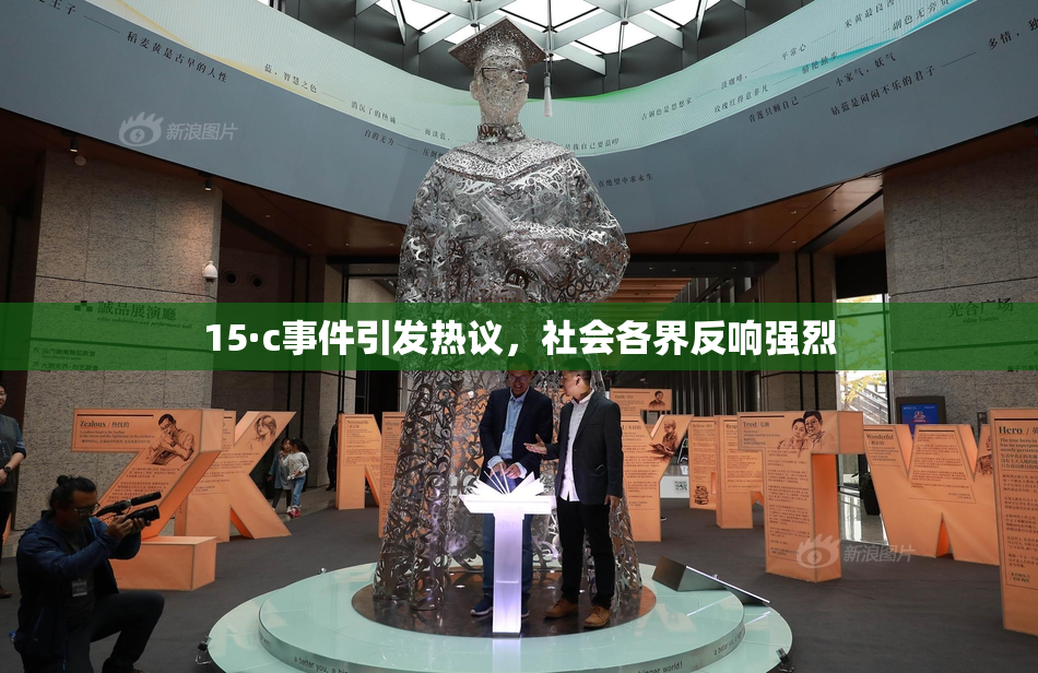 15·c事件引发热议，社会各界反响强烈