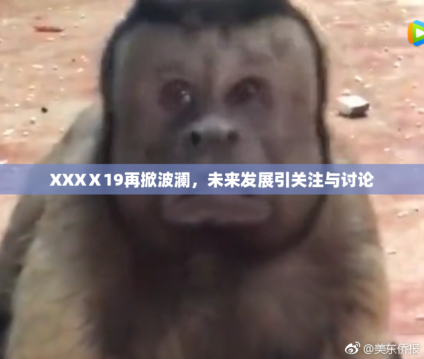 XXXⅩ19再掀波澜，未来发展引关注与讨论
