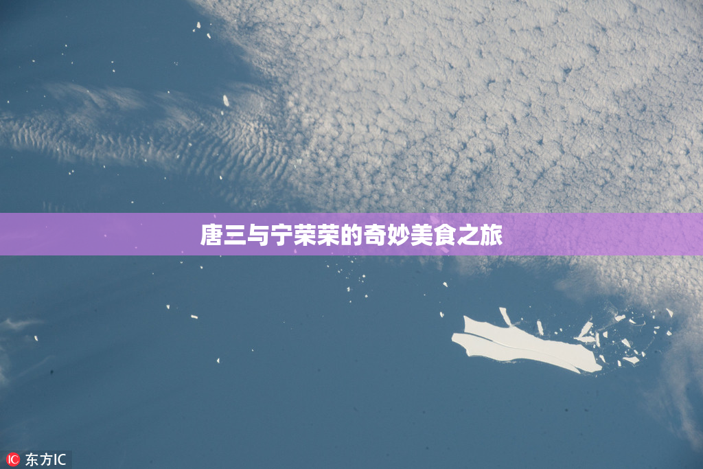 唐三与宁荣荣的奇妙美食之旅