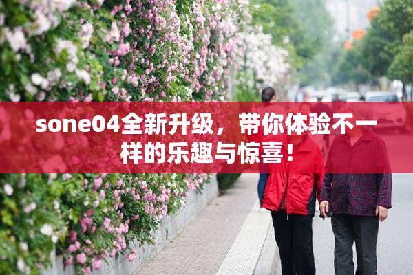 sone04全新升级，带你体验不一样的乐趣与惊喜！