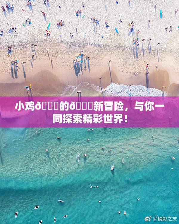 小鸡🐔的🍑新冒险，与你一同探索精彩世界！