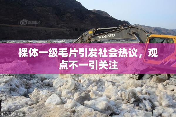 裸体一级毛片引发社会热议，观点不一引关注