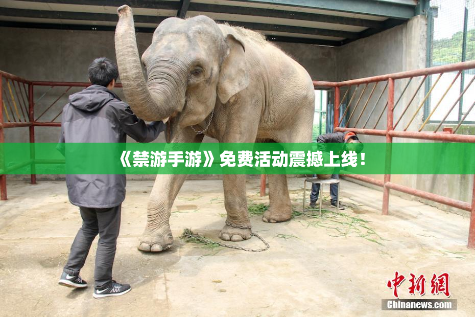 《禁游手游》免费活动震撼上线！