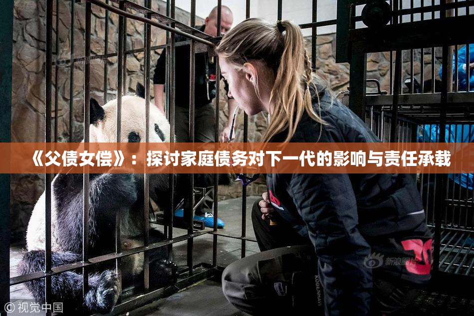 《父债女偿》：探讨家庭债务对下一代的影响与责任承载