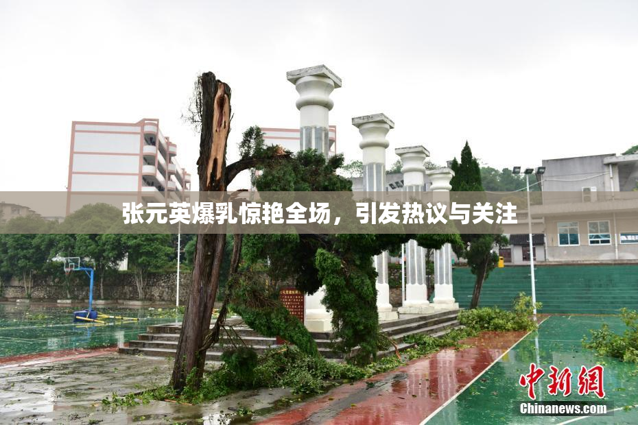张元英爆乳惊艳全场，引发热议与关注