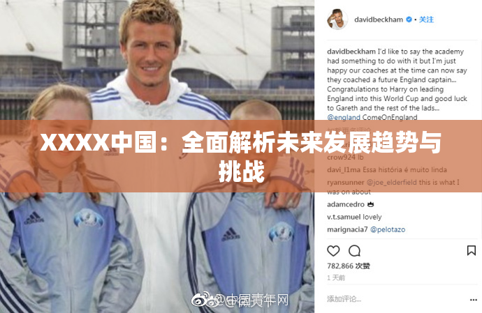 XXXX中国：全面解析未来发展趋势与挑战