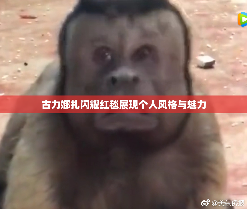 古力娜扎闪耀红毯展现个人风格与魅力
