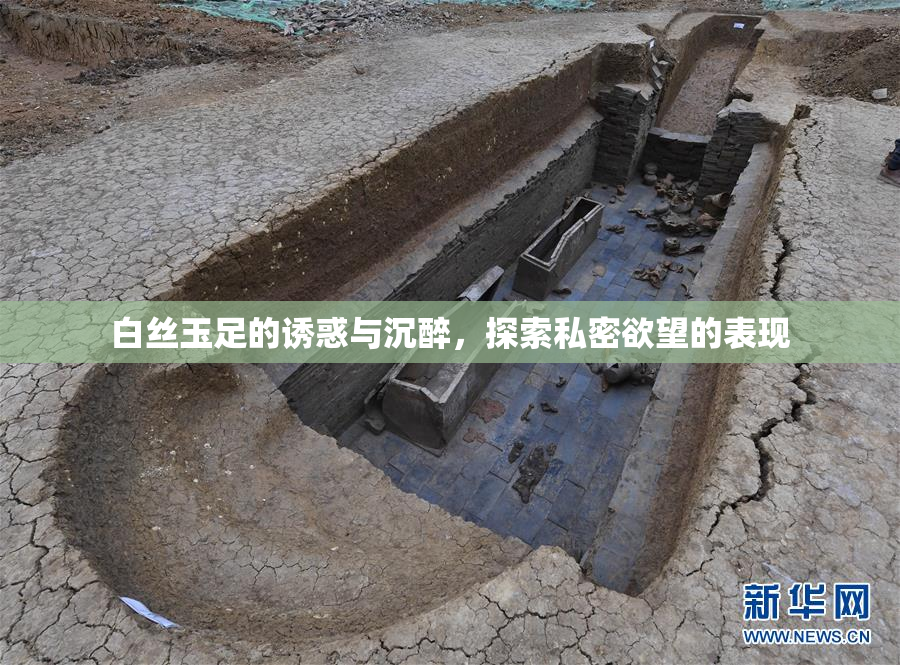白丝玉足的诱惑与沉醉，探索私密欲望的表现
