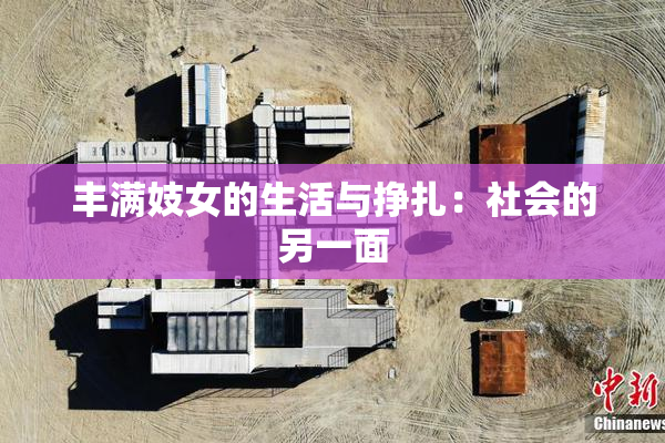 丰满妓女的生活与挣扎：社会的另一面