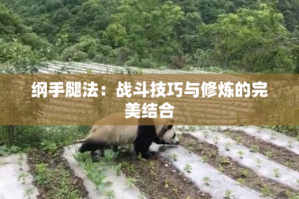 纲手腿法：战斗技巧与修炼的完美结合