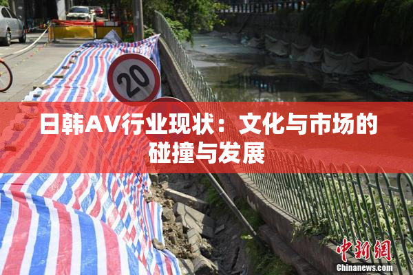 日韩AV行业现状：文化与市场的碰撞与发展