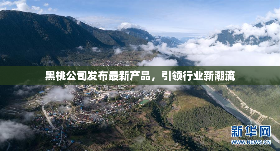 黑桃公司发布最新产品，引领行业新潮流