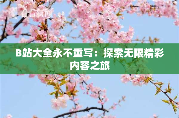 B站大全永不重写：探索无限精彩内容之旅