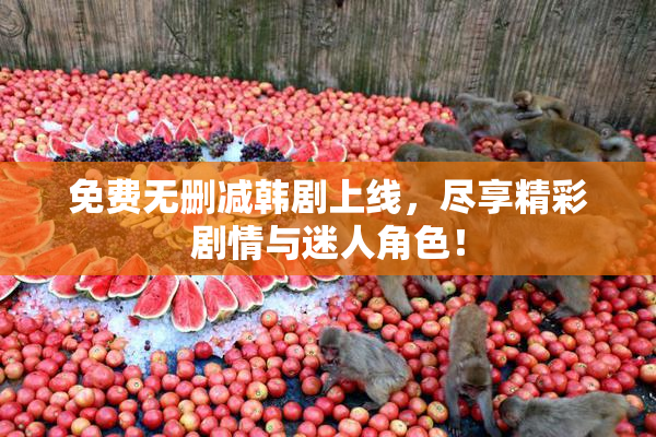 免费无删减韩剧上线，尽享精彩剧情与迷人角色！