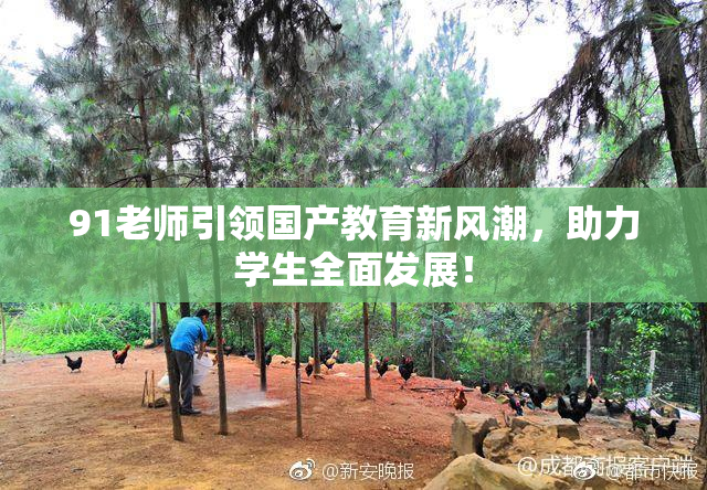 91老师引领国产教育新风潮，助力学生全面发展！