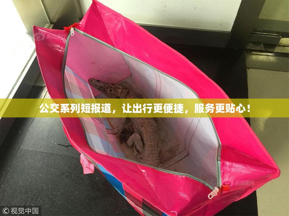 公交系列短报道，让出行更便捷，服务更贴心！