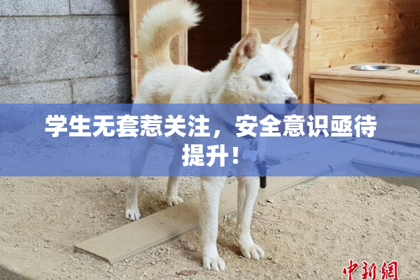学生无套惹关注，安全意识亟待提升！