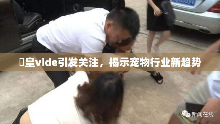 嘼皇vide引发关注，揭示宠物行业新趋势