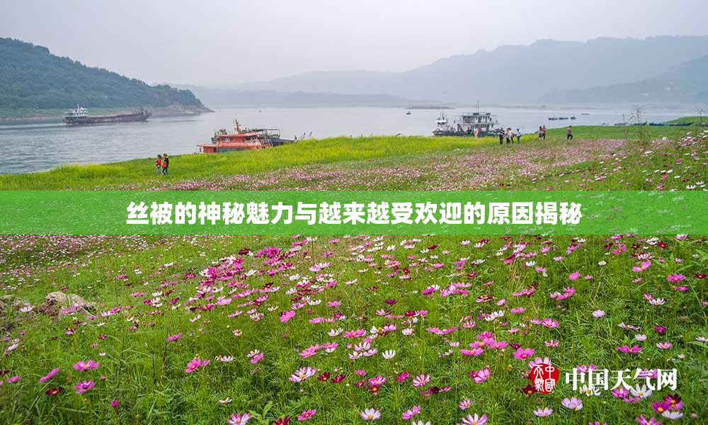 丝被的神秘魅力与越来越受欢迎的原因揭秘