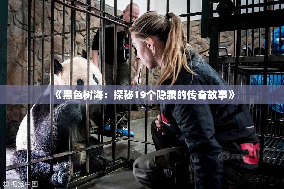 《黑色树海：探秘19个隐藏的传奇故事》