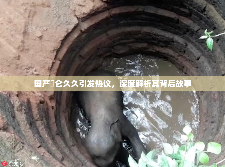 国产婬仑久久引发热议，深度解析其背后故事