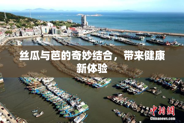 丝瓜与芭的奇妙结合，带来健康新体验