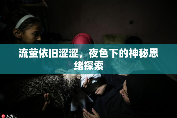流萤依旧涩涩，夜色下的神秘思绪探索