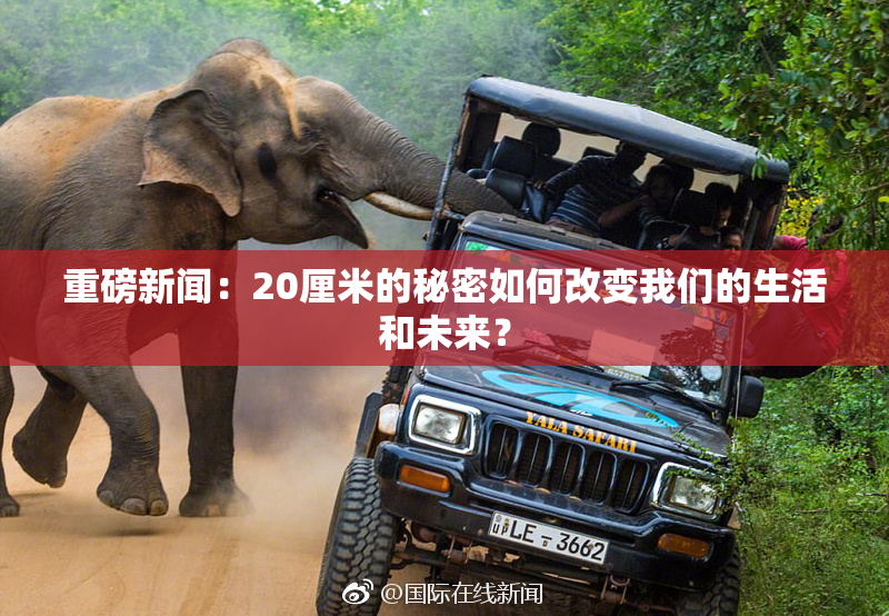 重磅新闻：20厘米的秘密如何改变我们的生活和未来？