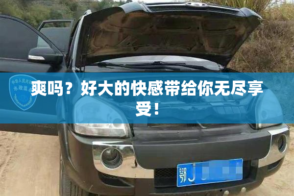 爽吗？好大的快感带给你无尽享受！