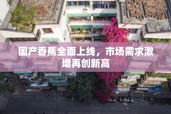 国产香蕉全面上线，市场需求激增再创新高