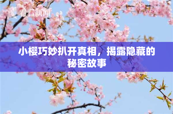 小樱巧妙扒开真相，揭露隐藏的秘密故事