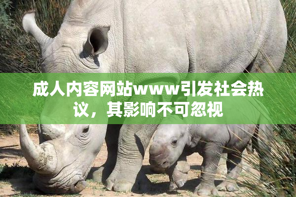 成人内容网站www引发社会热议，其影响不可忽视