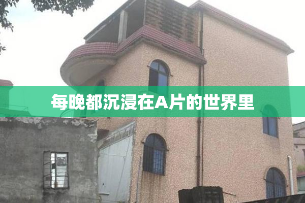 每晚都沉浸在A片的世界里