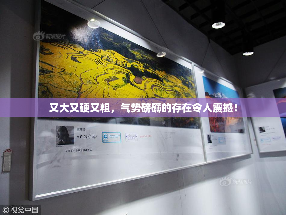 又大又硬又粗，气势磅礴的存在令人震撼！