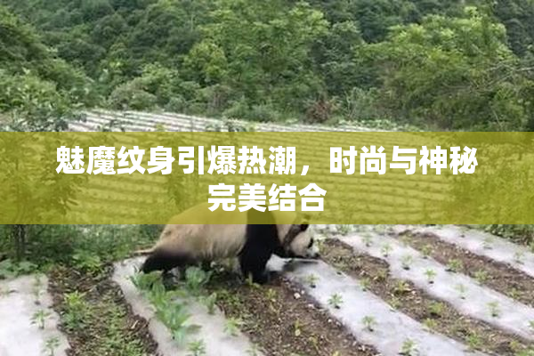 魅魔纹身引爆热潮，时尚与神秘完美结合