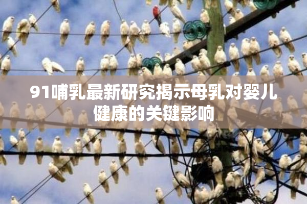91哺乳最新研究揭示母乳对婴儿健康的关键影响