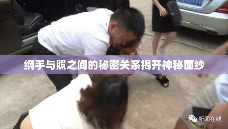 纲手与照之间的秘密关系揭开神秘面纱