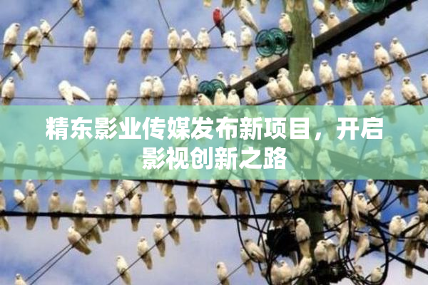 精东影业传媒发布新项目，开启影视创新之路